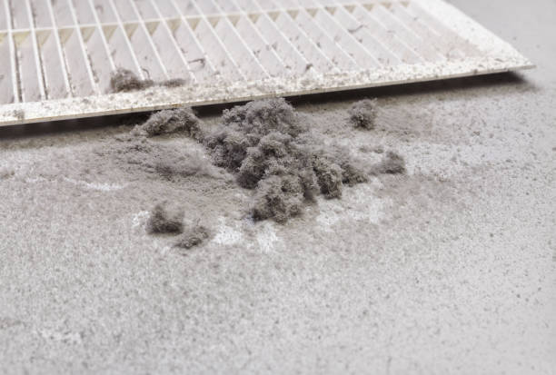 Best Air Vent Cleaning Services  in Skyline Acres, OH