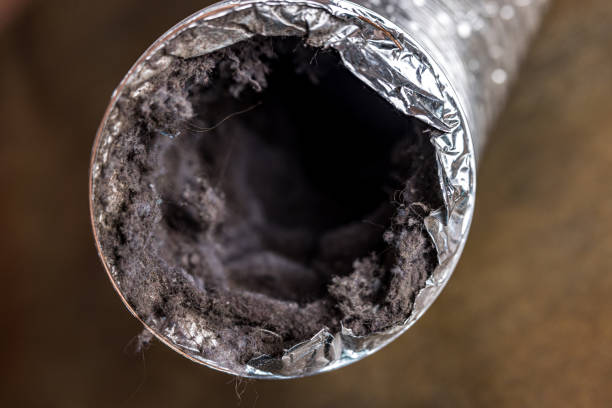 Best Home Air Vent Cleaning  in Skyline Acres, OH