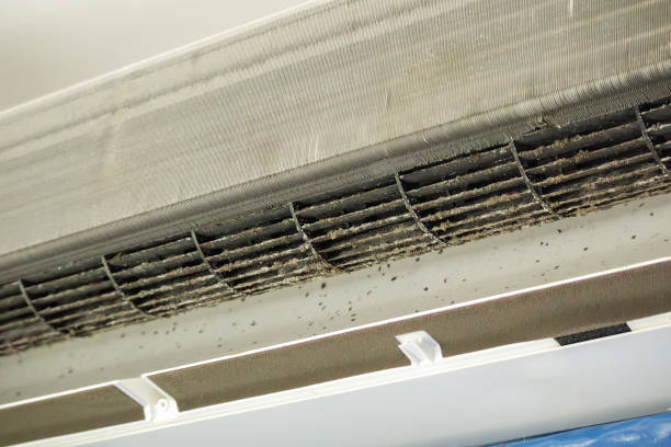 Best HVAC Duct Inspection Services  in Skyline Acres, OH