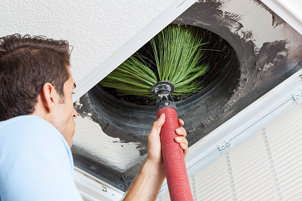 Best Professional Duct Cleaning Services  in Skyline Acres, OH
